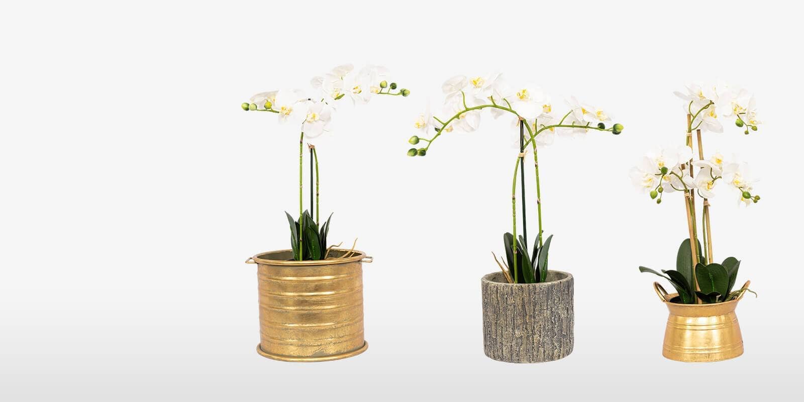 Decorative Flowers