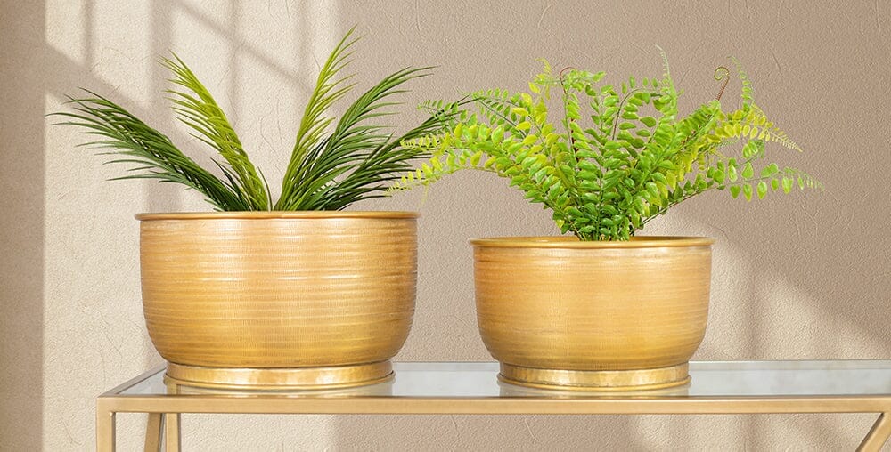 Planters