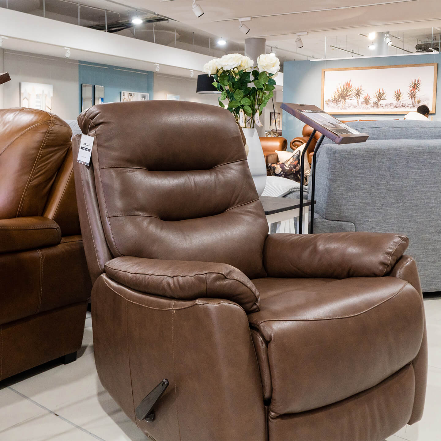 Couches Living Dining