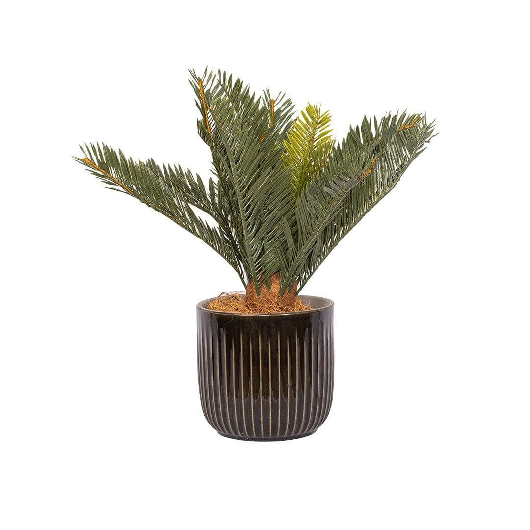 Faux Cycad Plant &amp; Burrows Planter Decor Leather Gallery 