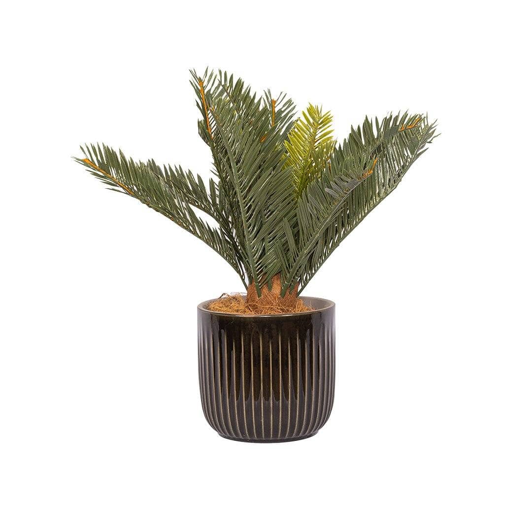 Faux Cycad Plant & Burrows Planter Decor Leather Gallery 