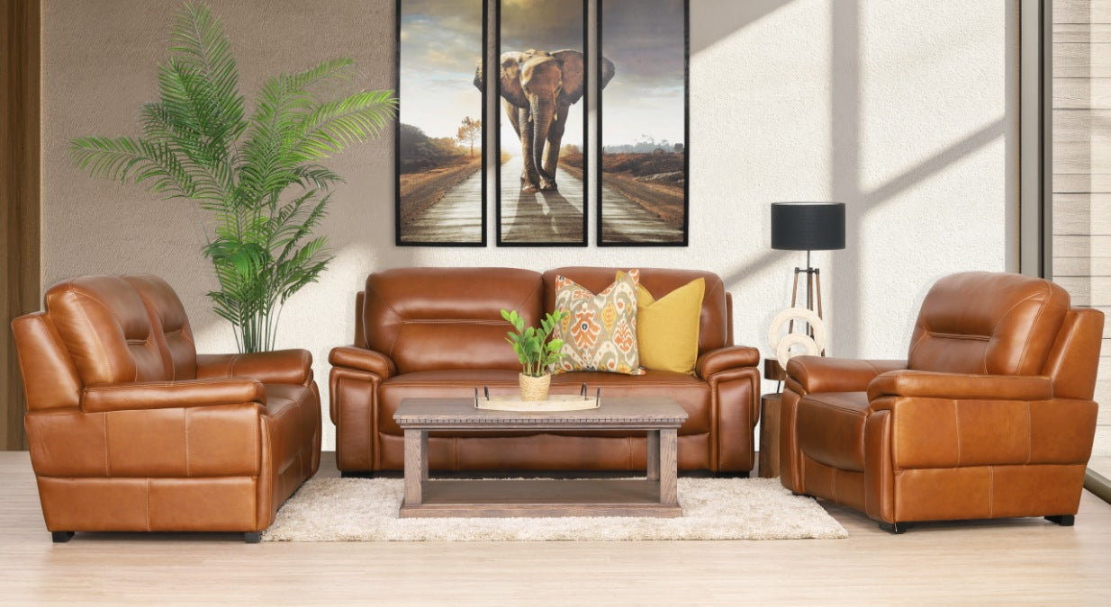 Brown Leather Couch, Brown Leather Couch for sale, Leather Couches South Africa, Leather couches