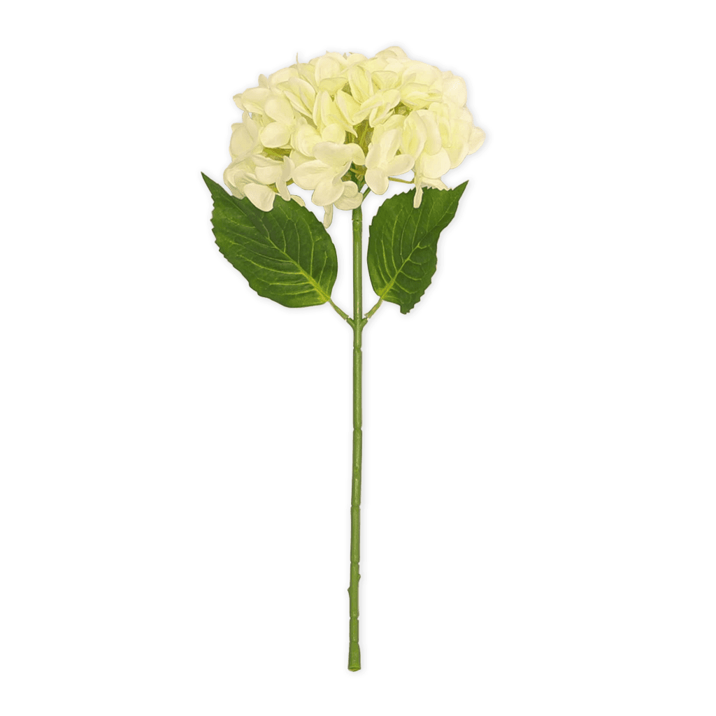 Eggshell Stemmed Hydrangea Decor Leather Gallery 