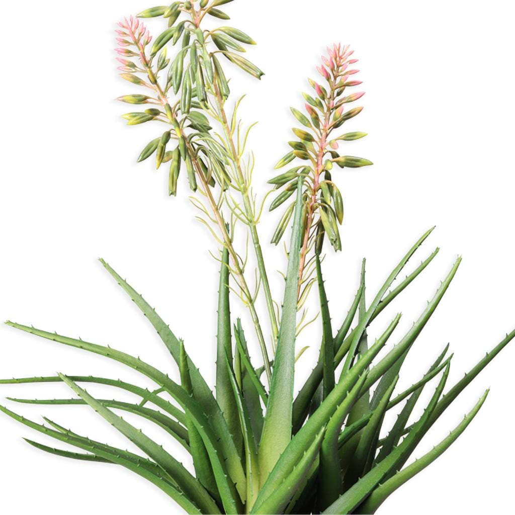 Faux Aloe Cooperi Plant - 51cm Decor Leather Gallery 