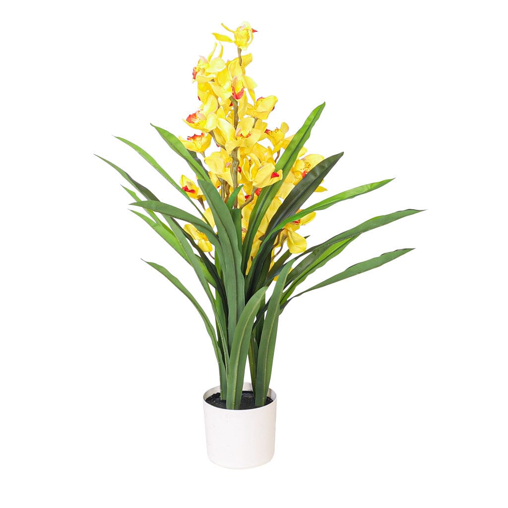 Faux Cymbidium Orchid Plant White - 105cm Decor Leather Gallery 