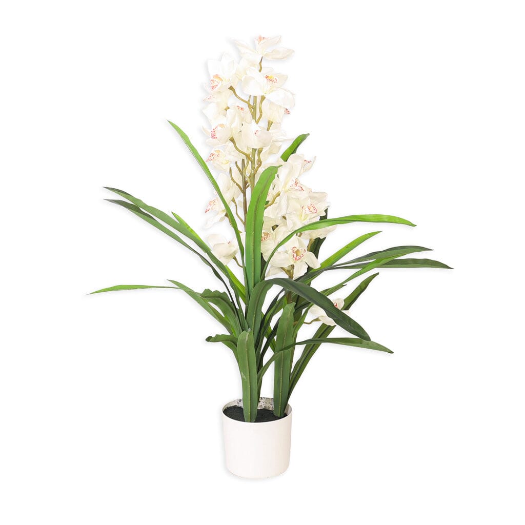 Faux Cymbidium Orchid Plant White - 105cm Decor Leather Gallery 