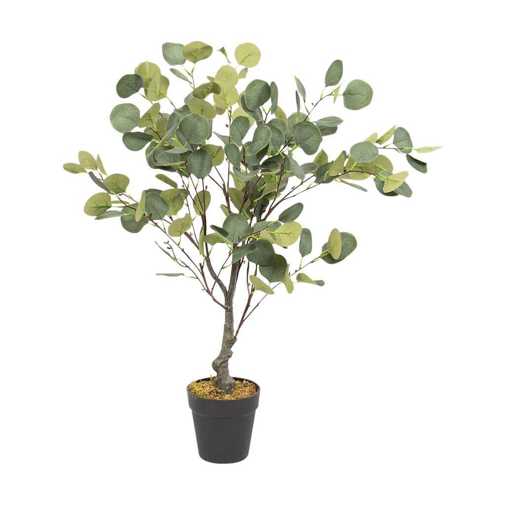 Faux Eucalyptus Tree Decor Leather Gallery 