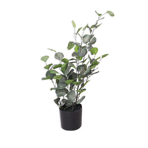 Faux Eucalyptus Plant Decor Leather Gallery 