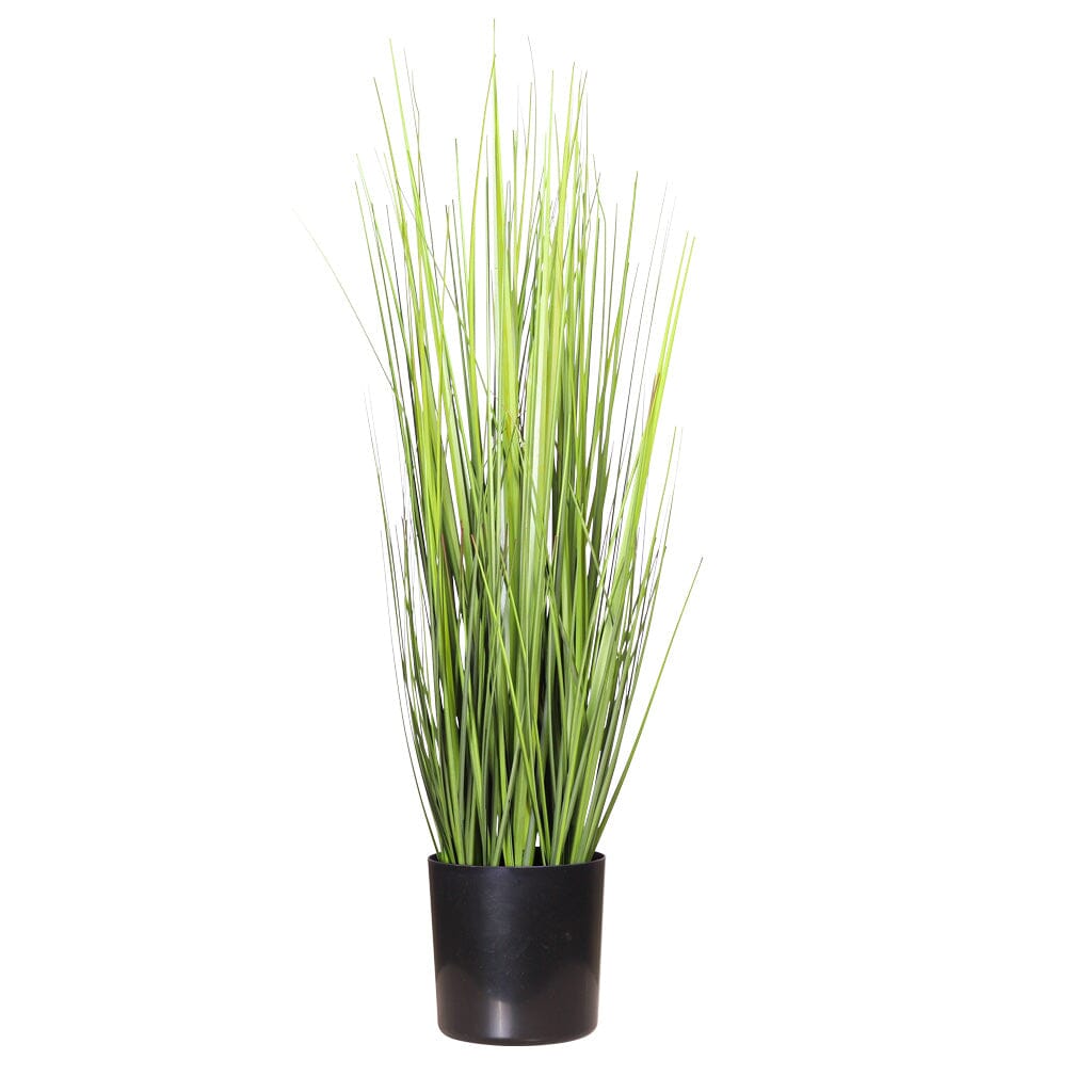 Faux Onion Grass Plant - 60cm Decor Leather Gallery 