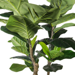 Faux Rubber Plant - 250cm Decor Leather Gallery 