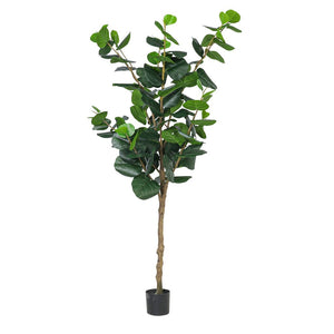 Faux Rubber Plant - 250cm Decor Leather Gallery 