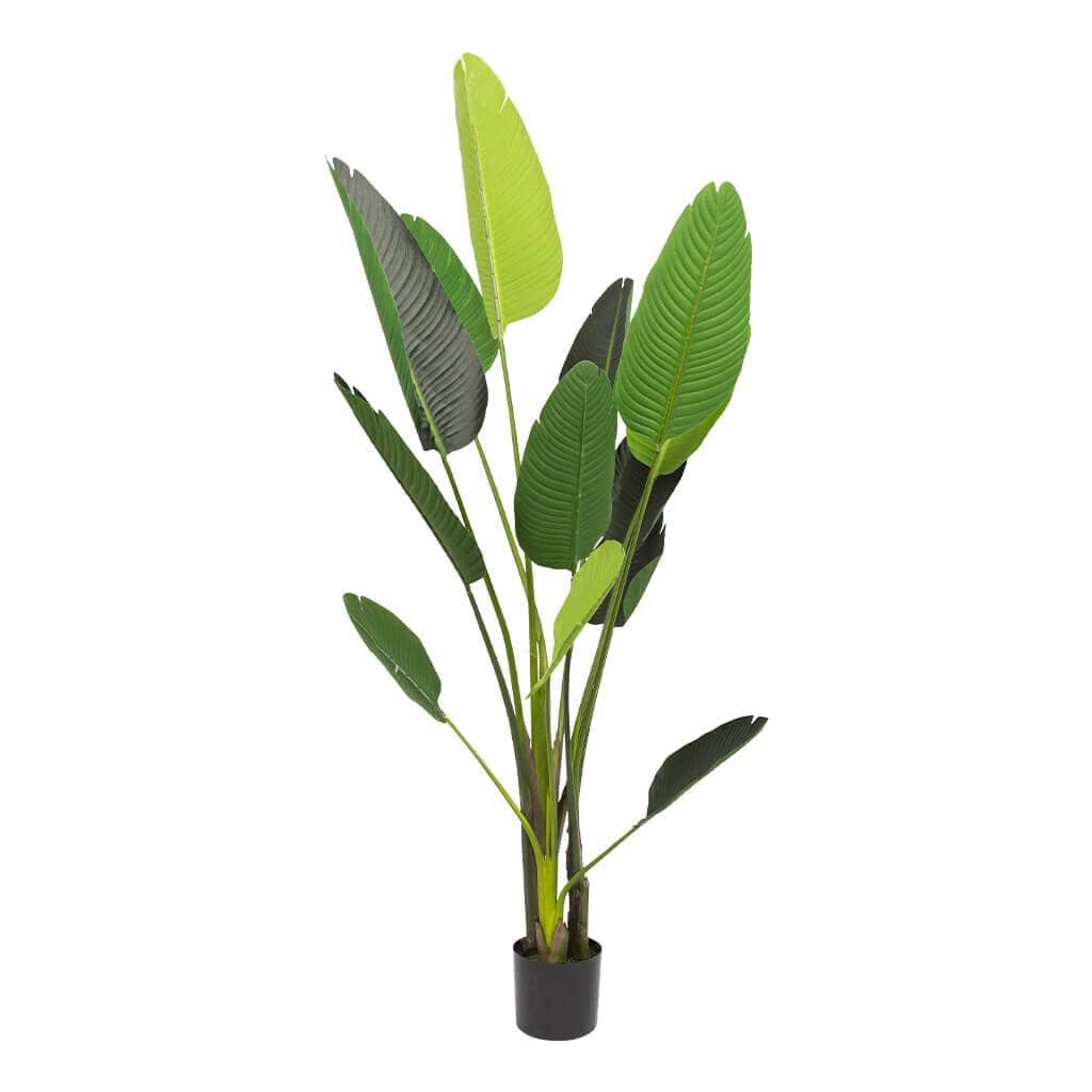 Faux Strelitzia Plant Decor Leather Gallery Faux Strelitzia 115cm 