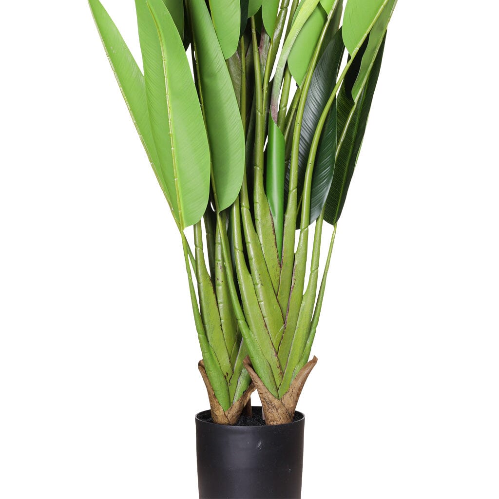 Faux Tropical Birds of Paradise Strelitzia Plant - 160cm Decor Leather Gallery 