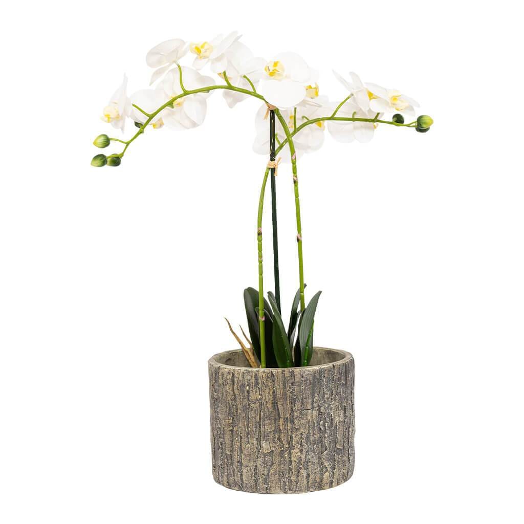 Faux White Orchid &amp; Weathered Concrete Planter Decor Leather Gallery 