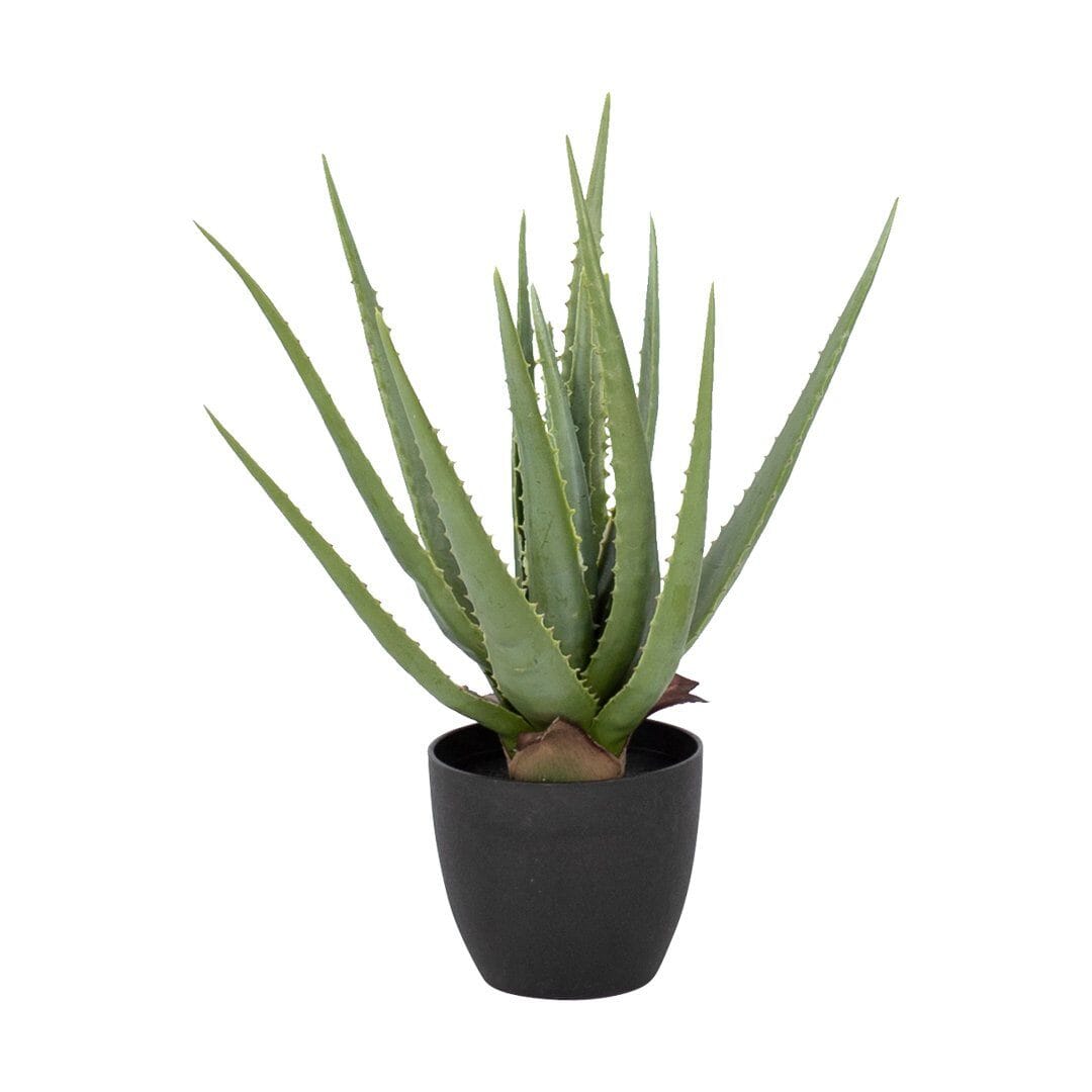 Faux Aloe Plant Decor Leather Gallery 