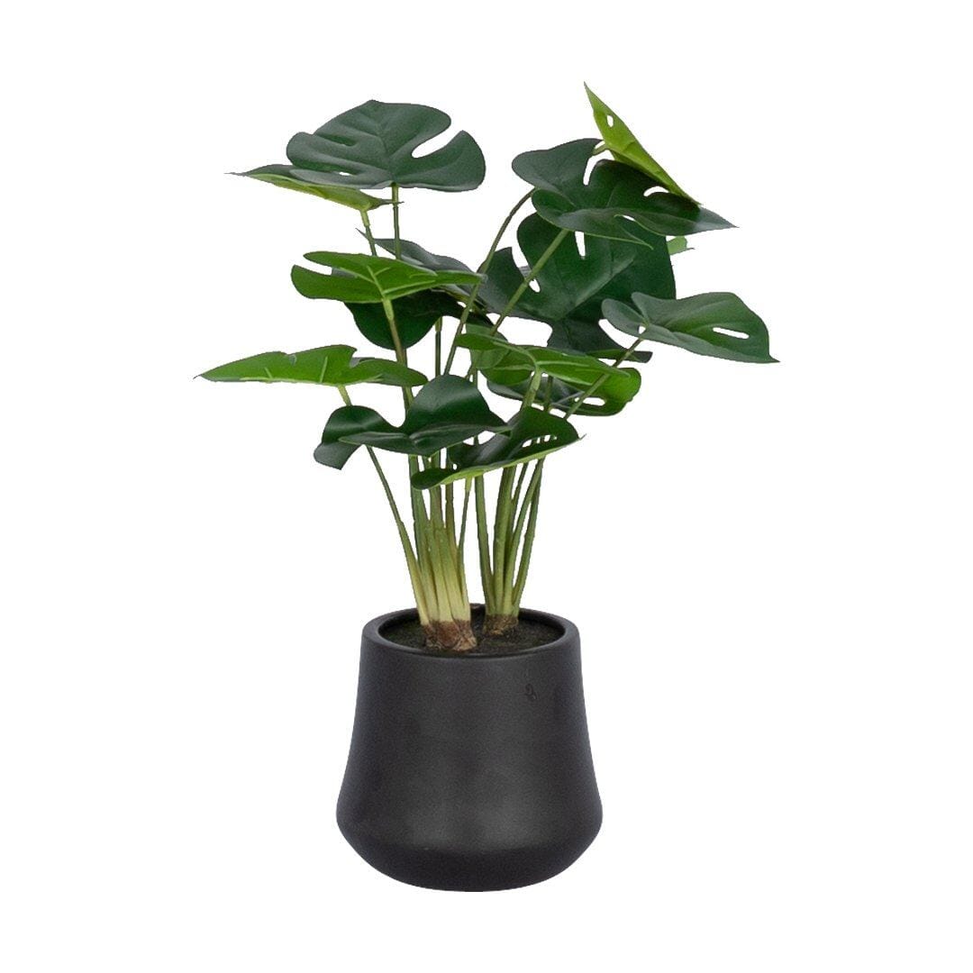 Faux Mini Monstera Plant & Terracotta Planter Decor Leather Gallery Black Pot-13cm x H-41cm x W-28cm x L-38cm 