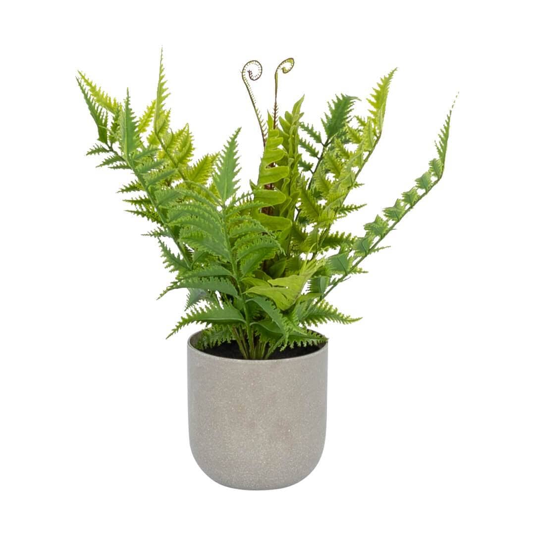 Faux Potted Fern Plant - Small Decor Leather Gallery Black Pot 12.5cm x W 36 x H 36 