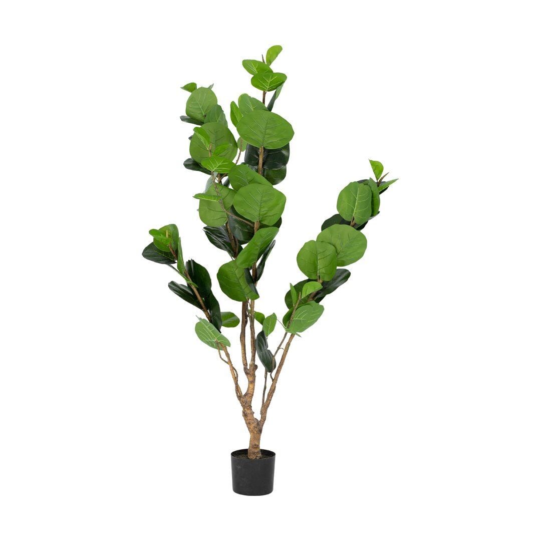 Faux Rubber Plant - Large Decor Leather Gallery Black 175cm 