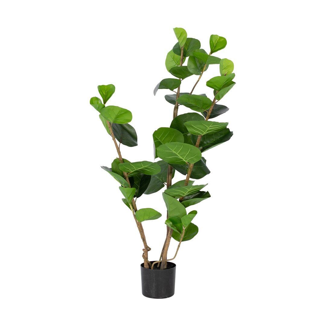 Faux Rubber Plant - Small Decor Leather Gallery Black 120cm 