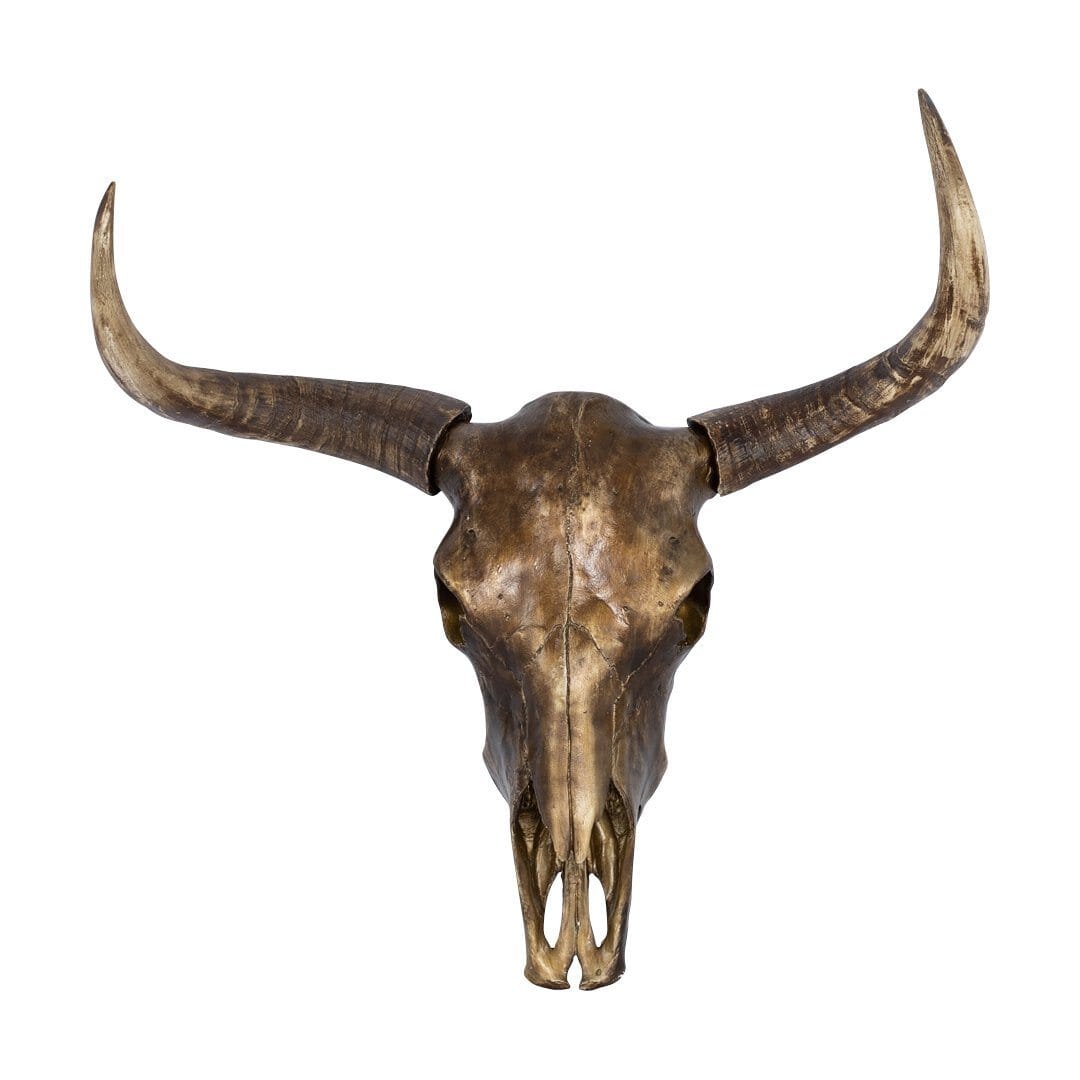 Faux Antelope Skull Wall Décor Ornament Leather Gallery 