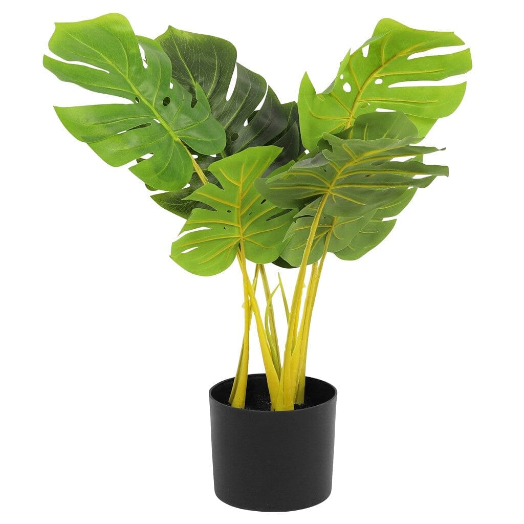 Faux Monstera - 57cm Decor Leather Gallery 