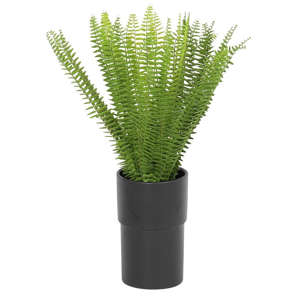 Faux Sword Fern in Ceramic Pot - 62cm Decor Leather Gallery 