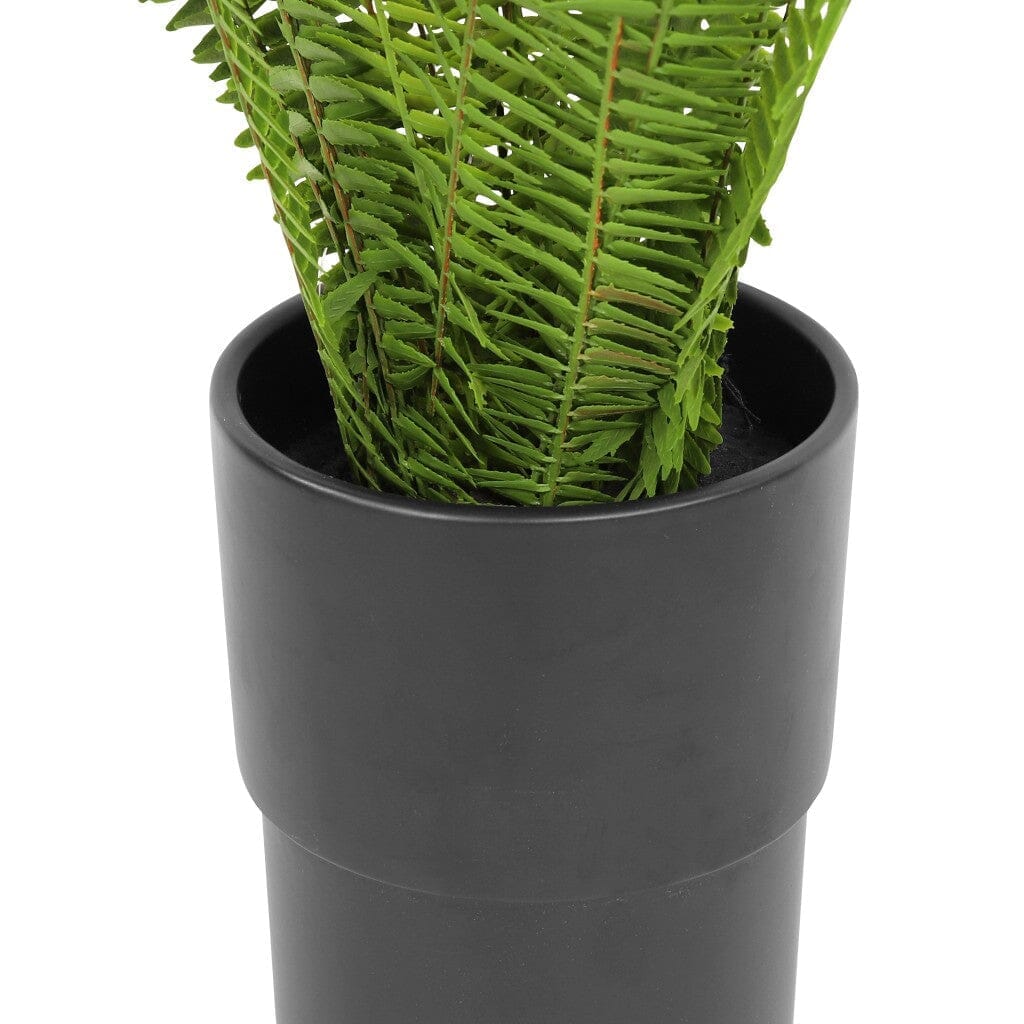 Faux Sword Fern in Ceramic Pot - 62cm Decor Leather Gallery 