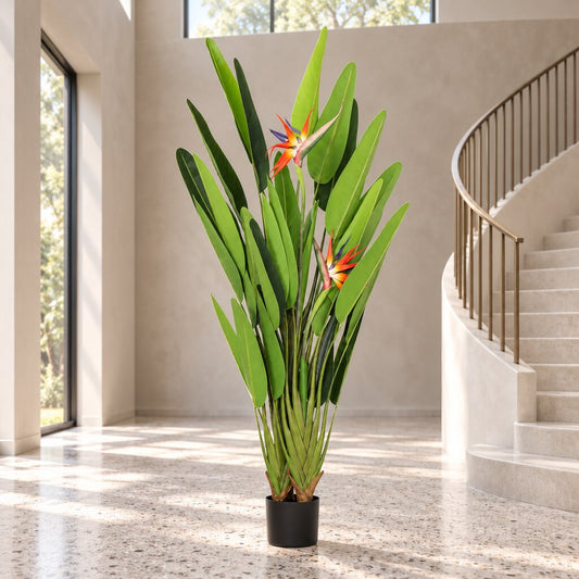 Faux Tropical Birds of Paradise Strelitzia Plant - 160cm - Decor