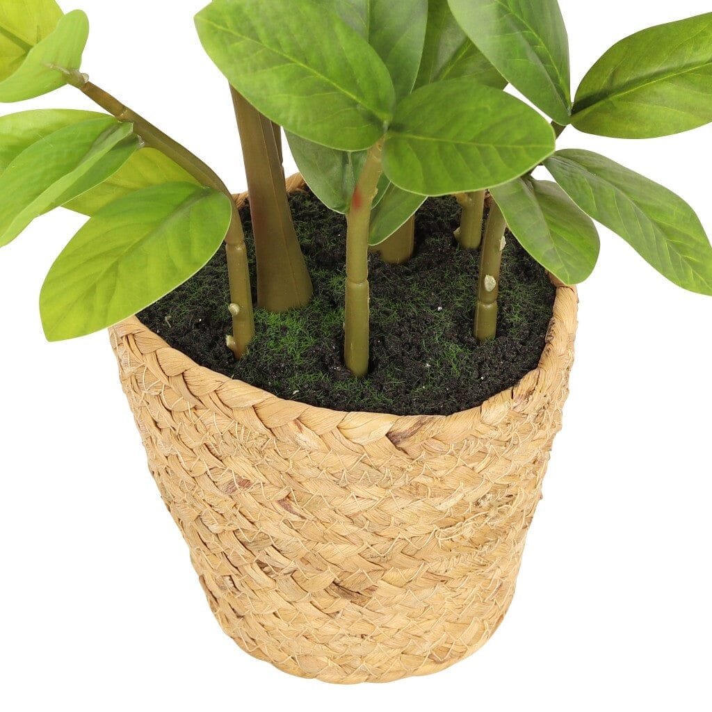 Faux Zamiifolia in Straw Basket - 45cm Decor Leather Gallery 