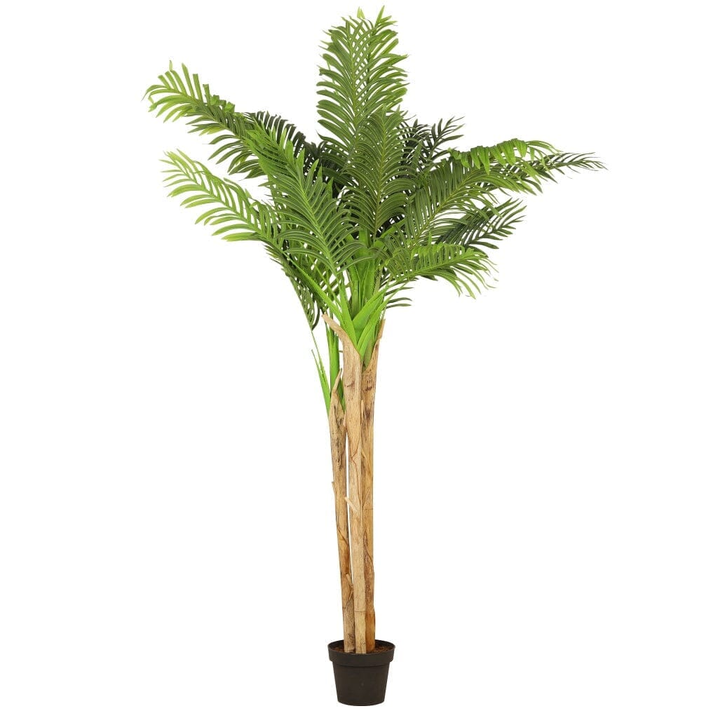 Fern Tree in Pot - 190cm Decor Leather Gallery 