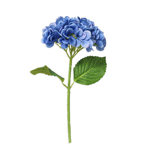 Hydrangea Blue Bomb - 50cm