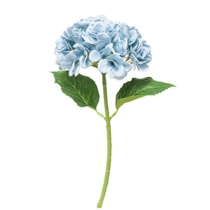 Hydrangea Blue Lapis 50cm