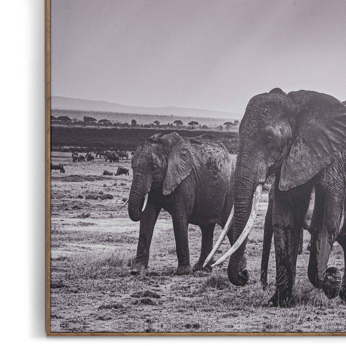 Leather Gallery | Herds of Tsavo Artwork Decor Painting