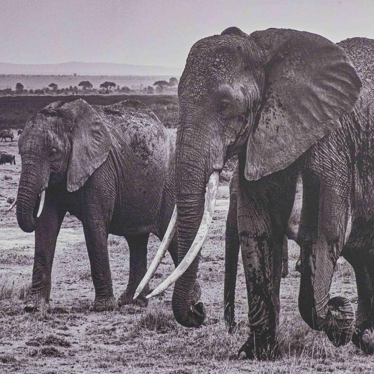 Leather Gallery | Herds of Tsavo Artwork Decor Painting