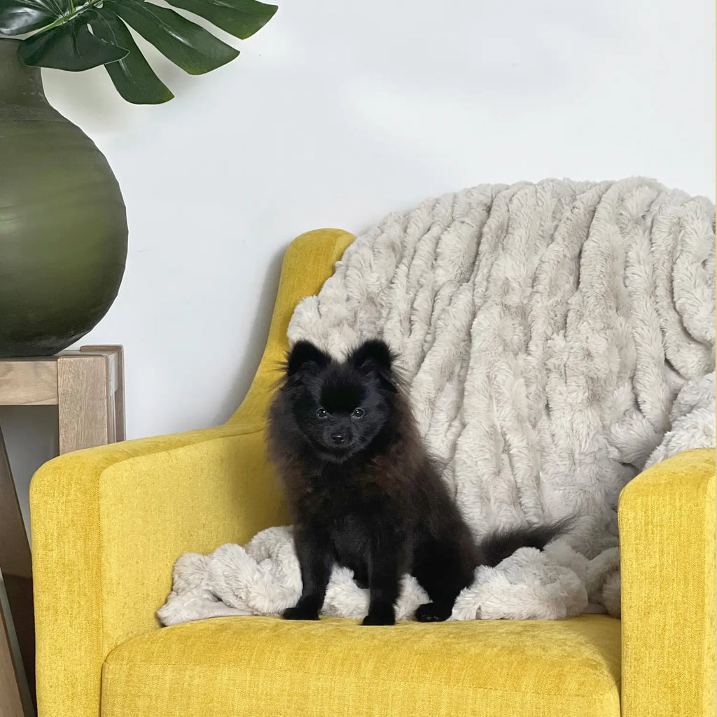 Textured fabric faux fur throw blanket in a luxurious living room setting.