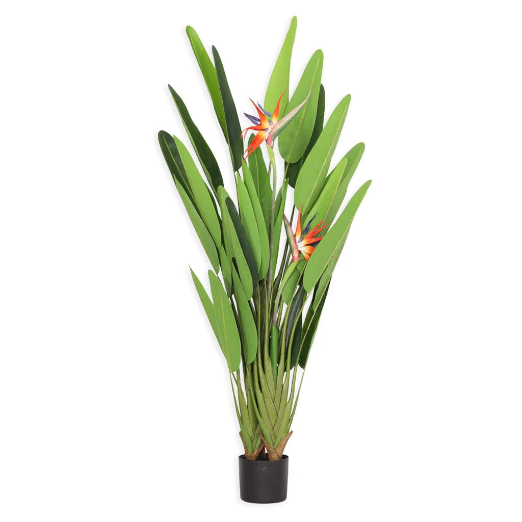 No green thumb? No problem! The Faux Strelitzia Plant adds effortless tropical elegance.
