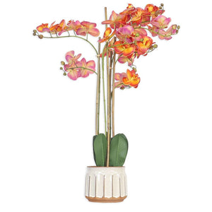 Orange Orchid in Pot - 74cm Decor Leather Gallery Pot : (16 x 16 x 13 cm) 