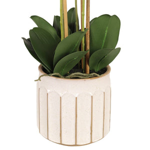 Orange Orchid in Pot - 74cm Decor Leather Gallery 