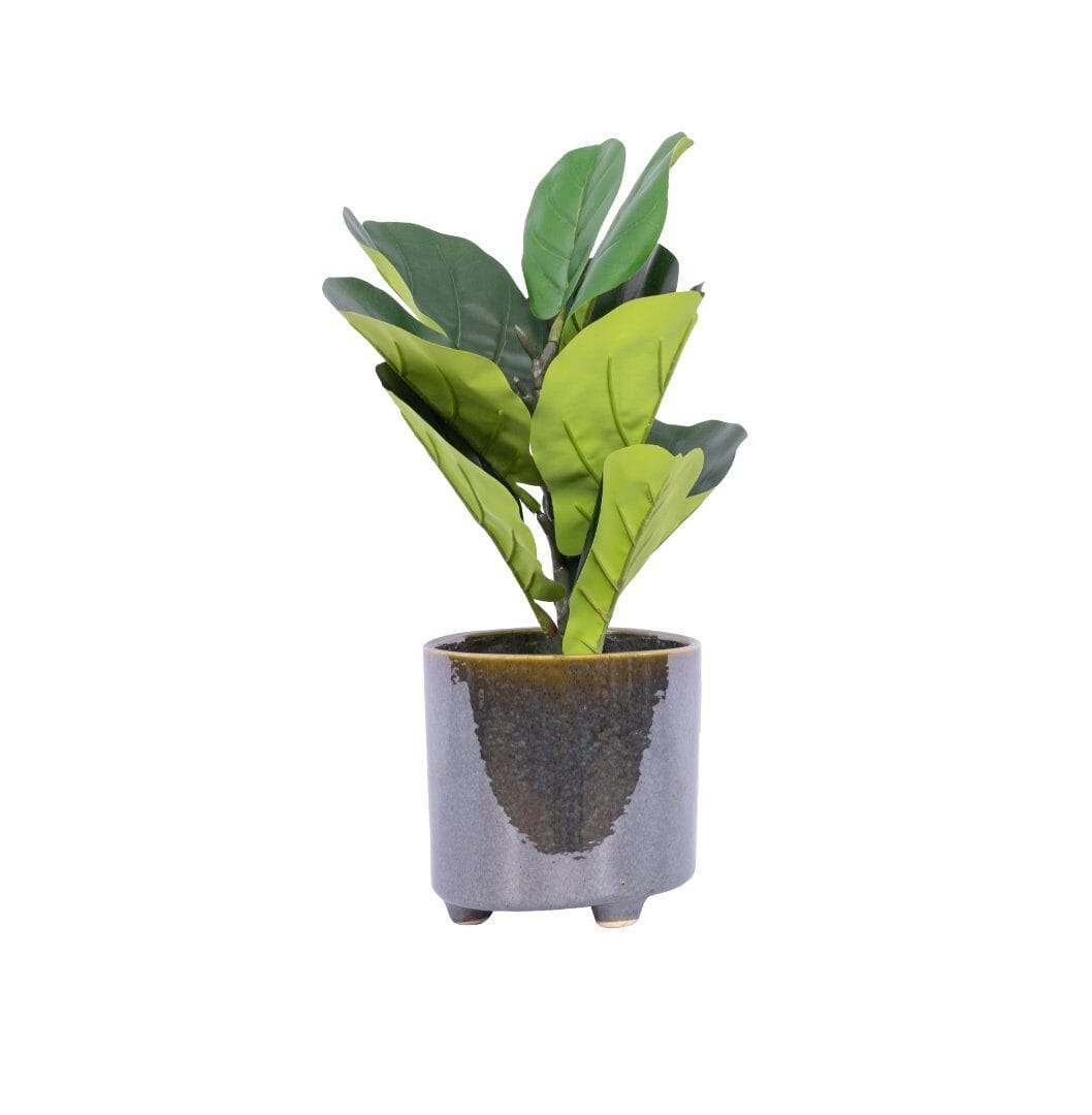 Faux Mini Fiddle Leaf Fig Tree In Kinsley Planter Decor Leather Gallery 