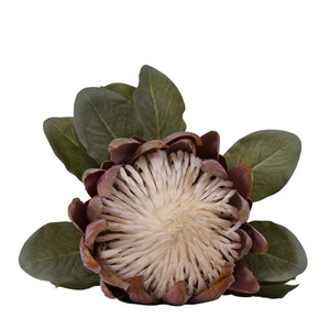 Protea Stem Red Decor Leather Gallery 