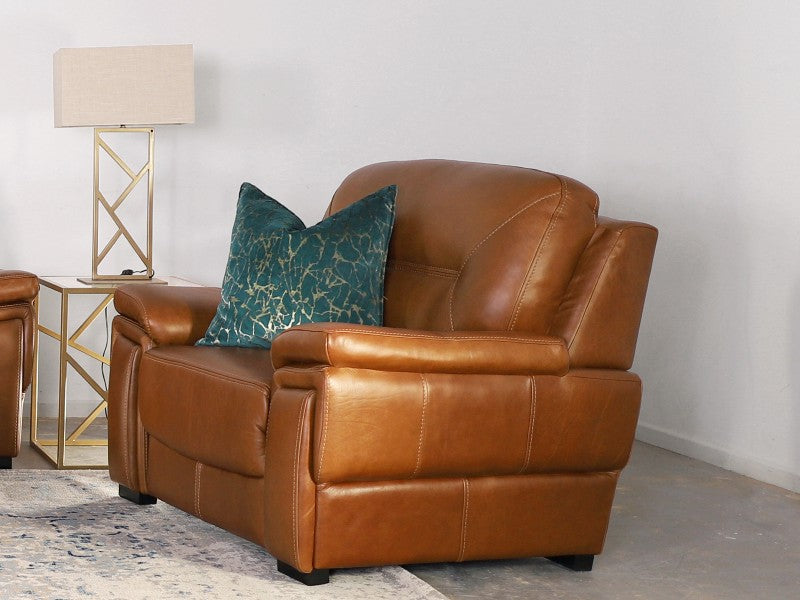 Top Grain Leather Upholstery