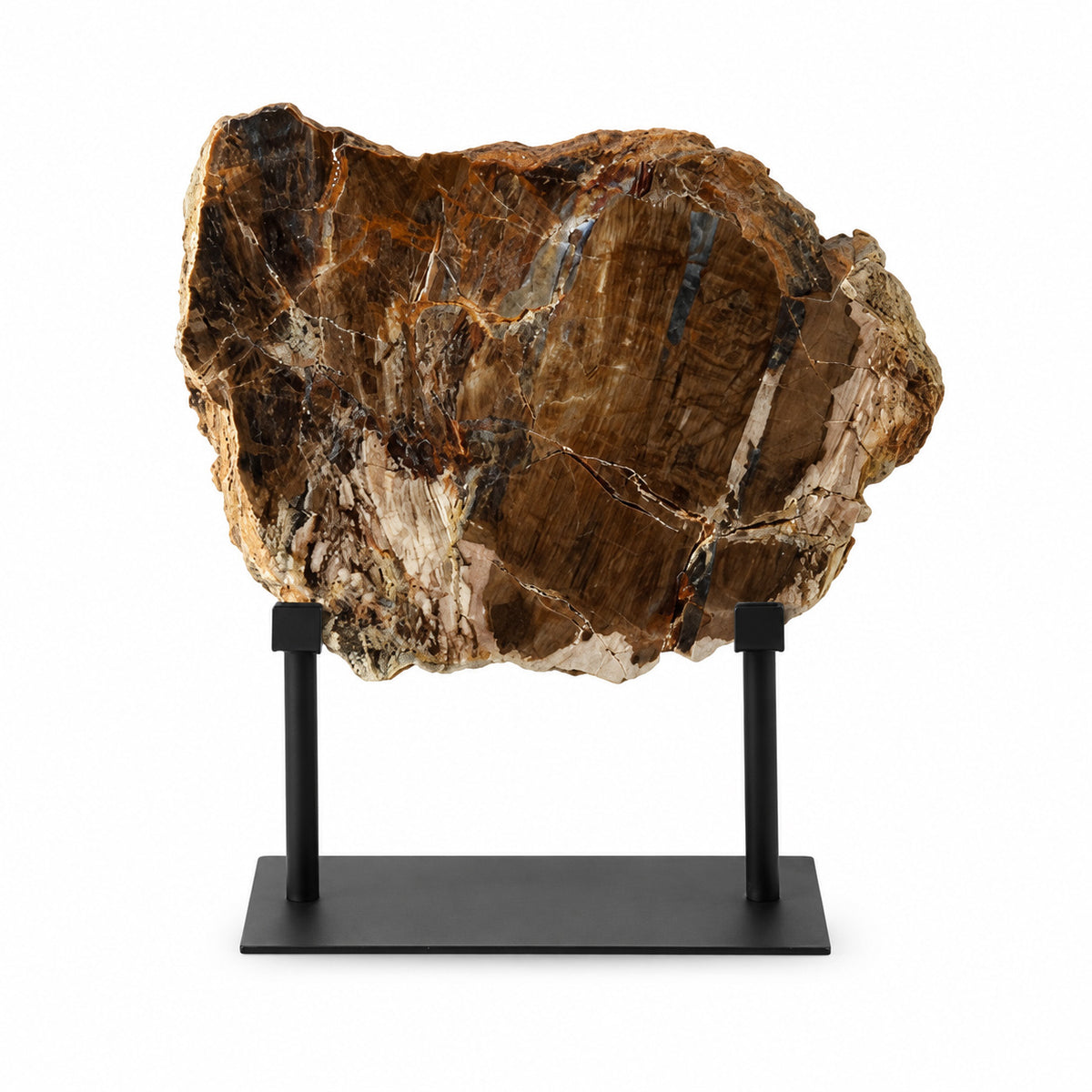 Vestige Petrified Wood Ornament