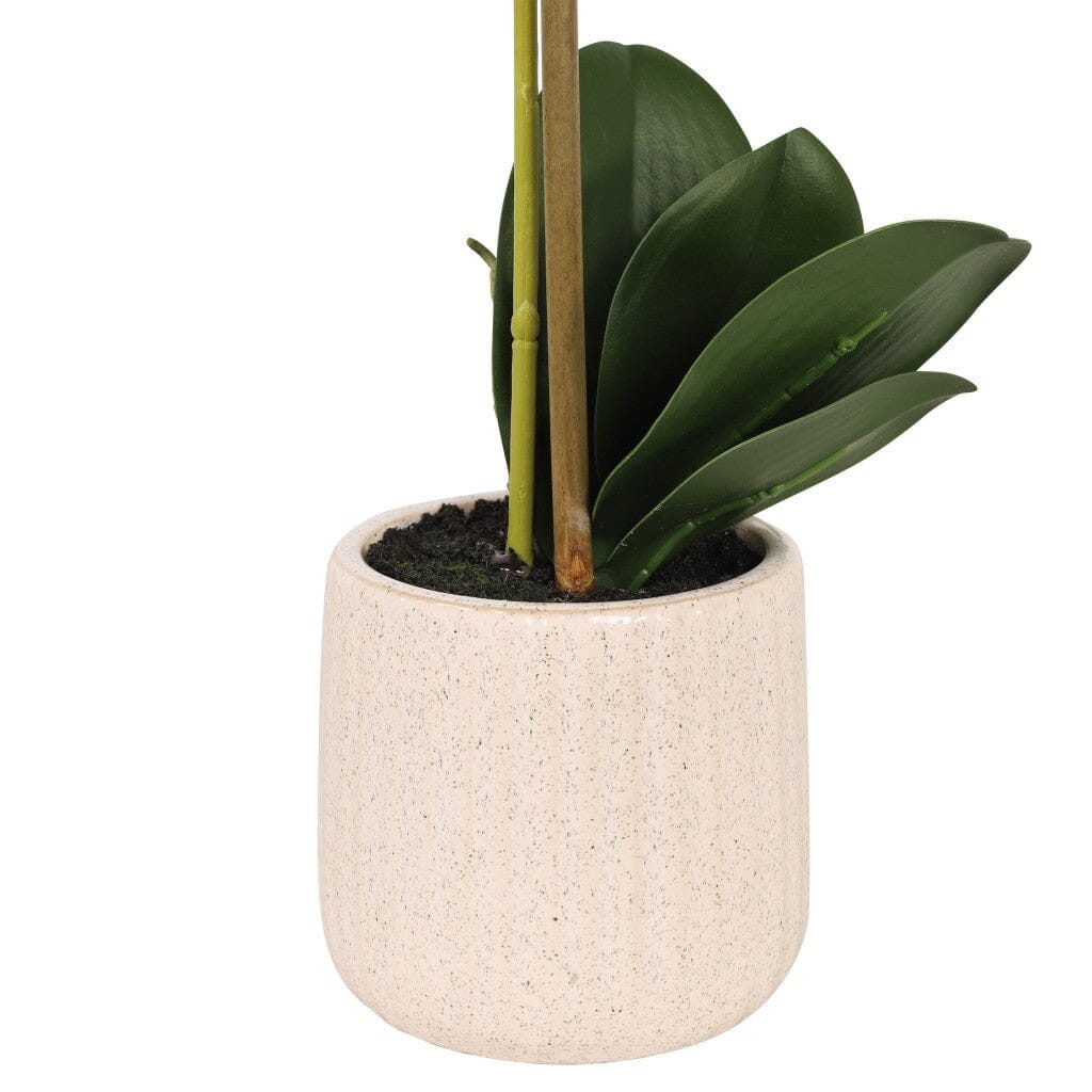 White/Green Orchid in Pot - 48 cm Decor Leather Gallery White 48cm 