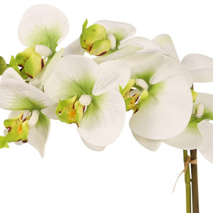 White/Green Orchid in Pot - 48 cm Decor Leather Gallery 