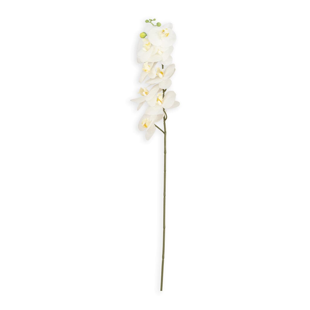 White Orchid - Flower Decor Leather Gallery 