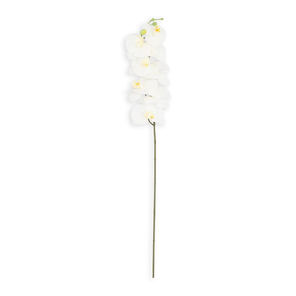 White Orchid - Flower Decor Leather Gallery 