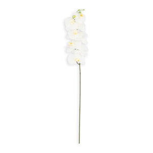White Orchid - Flower Decor Leather Gallery 