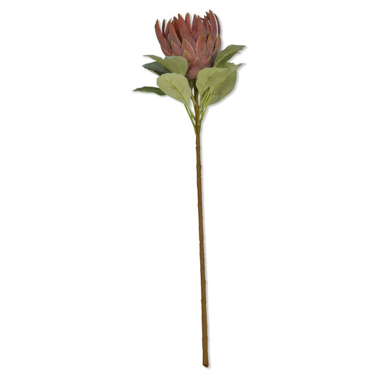 Autumn Protea Rust Decor Leather Gallery