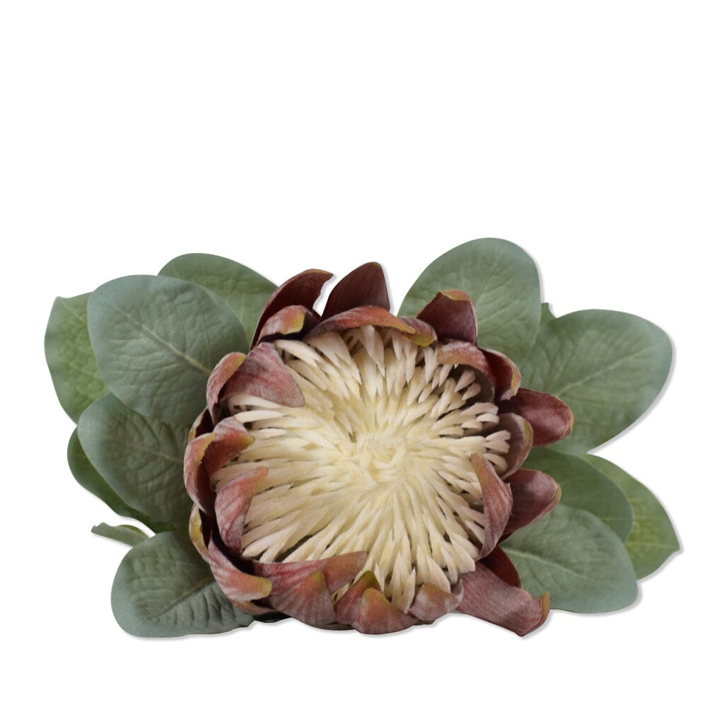 Autumn Protea Rust Decor Leather Gallery 