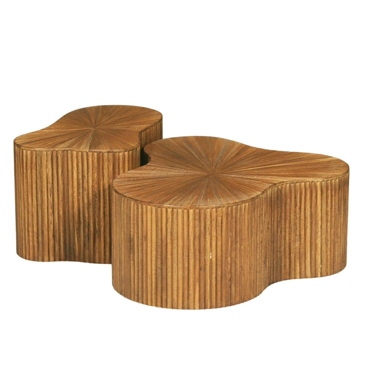 Borneo Coffee Tables Set of 2 - Gallery Everyday